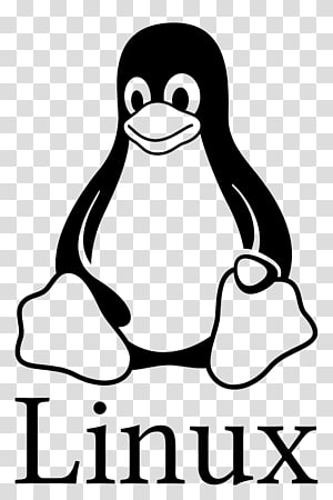 Linux logo, Tux Penguin Linux GNU, Penguin transparent background PNG ...