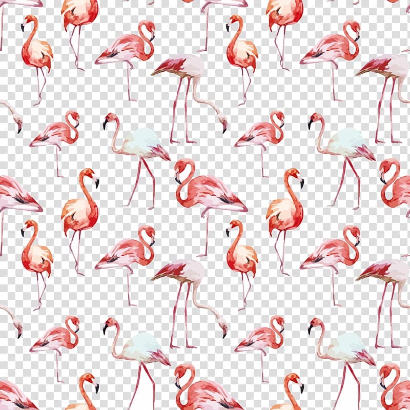 flamingo artwork, Flamingo Bird , Watercolor seamless background flamingo transparent background PNG clipart