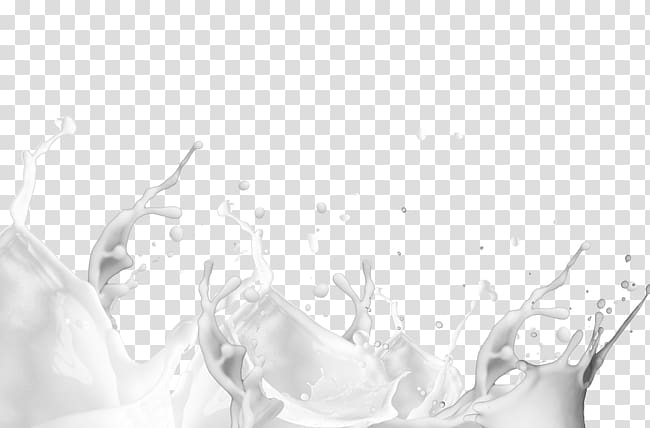 milk splash transparent background PNG clipart