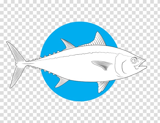 Shark Bony fishes Marine biology Salt Water Sportsman, tuna transparent background PNG clipart