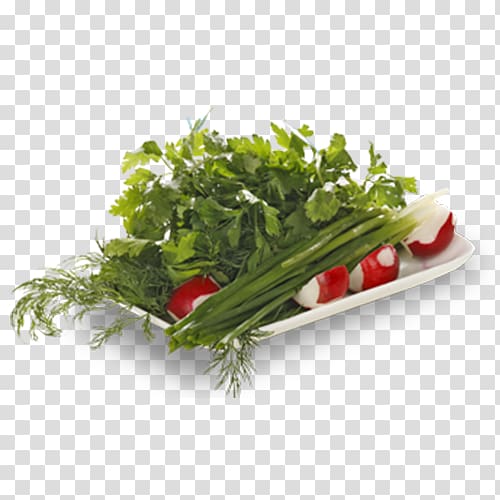 Leaf vegetable Herb Khinkali Kharcho Sujuk, salad transparent background PNG clipart