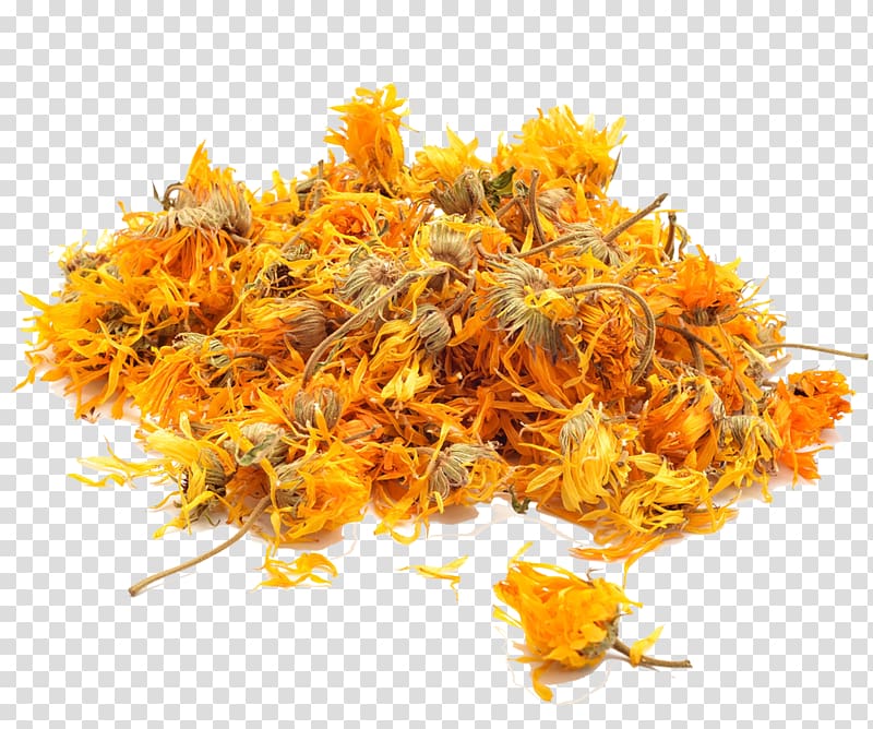 Flowering tea Calendula officinalis Herb, marigold transparent background PNG clipart