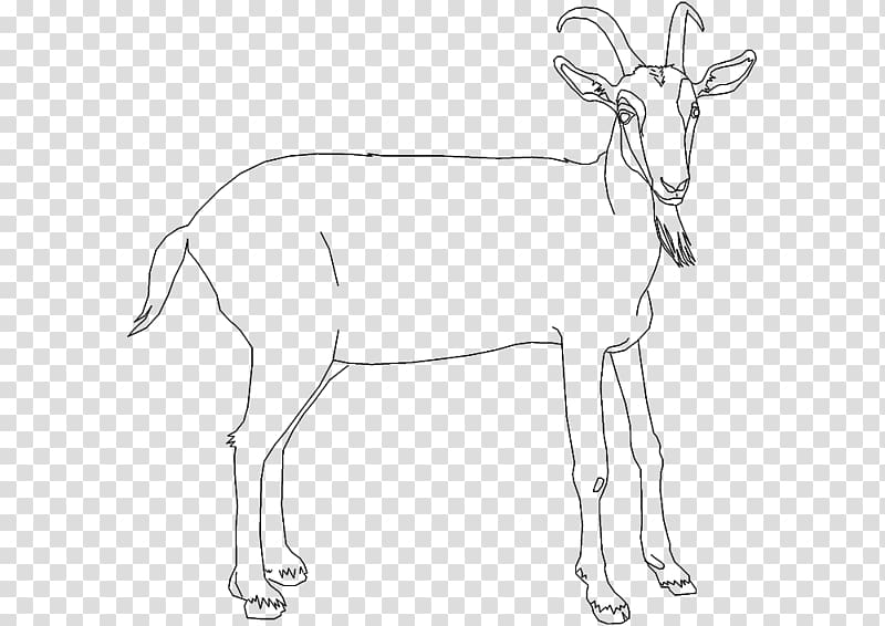 Antelope Reindeer Cattle Line art Goat, Reindeer transparent background PNG clipart