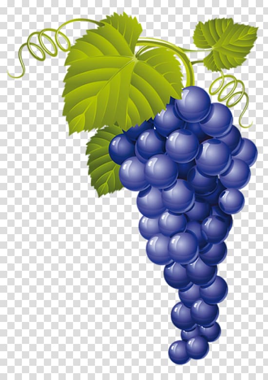 Common Grape Vine Red Wine, wine transparent background PNG clipart