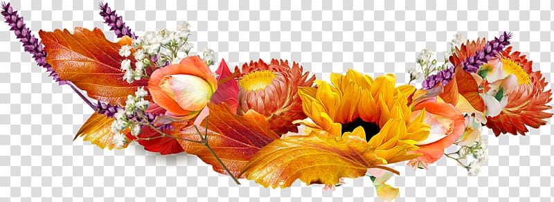 Desktop Common sunflower Autumn Frames, flower transparent background PNG clipart