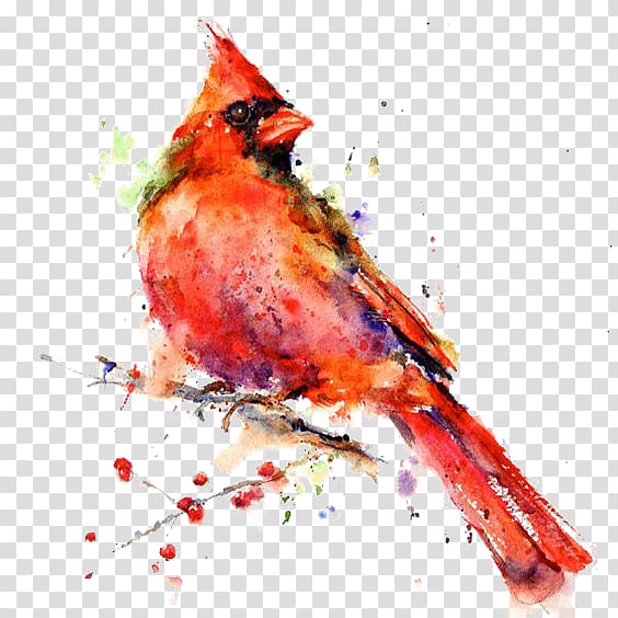 male cardinal bird painting, Bird Watercolor painting Drawing Canvas print, Hand-painted parrot transparent background PNG clipart