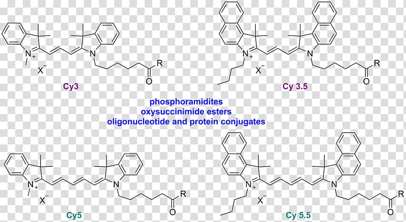 Cyanine Fluorescence Dye HOMO/LUMO Conjugated system, others transparent background PNG clipart