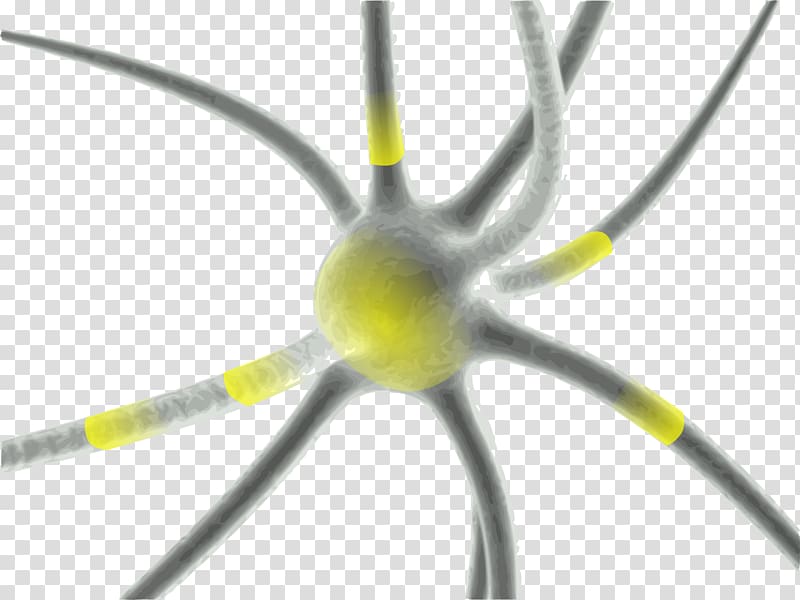 Synapse Neuron Brain Multiple sclerosis Disease, neurons transparent background PNG clipart
