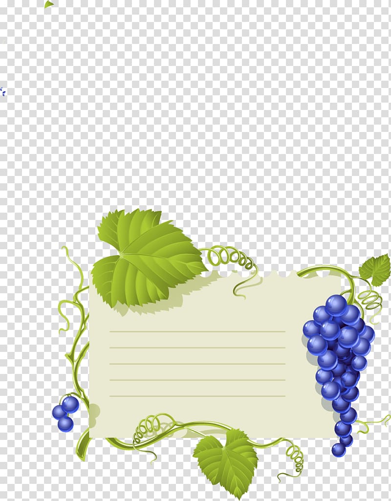 Common Grape Vine Wine Grape leaves, Fruit notes transparent background PNG clipart