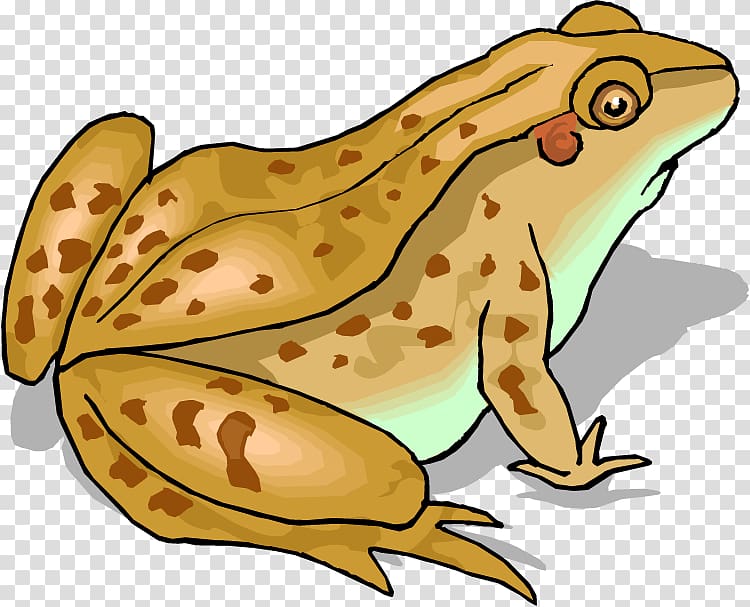 Frog and Toad , frog transparent background PNG clipart