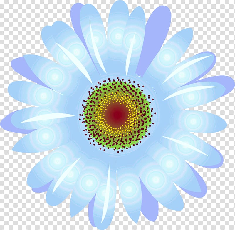 Daisy family Common daisy Transvaal daisy Oxeye daisy Chrysanthemum, camomile transparent background PNG clipart