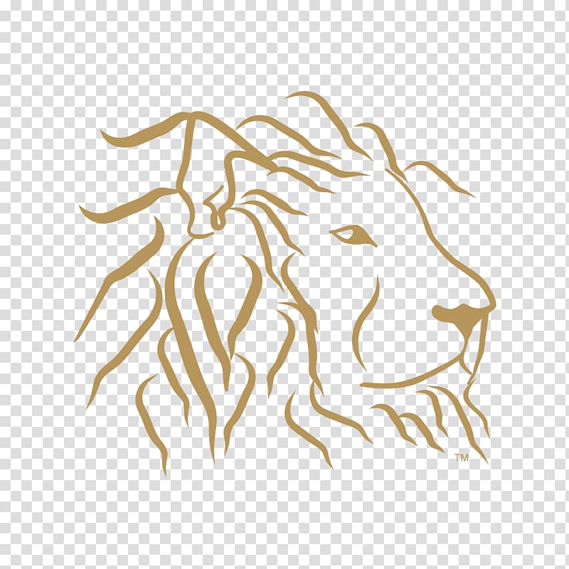 Cat Drawing Mammal, lion head transparent background PNG clipart