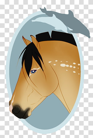 Horse Nose , horse transparent background PNG clipart thumbnail