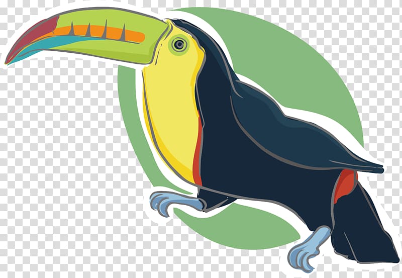 Cartoon Motion graphics Animation, Cartoon parrot design transparent background PNG clipart