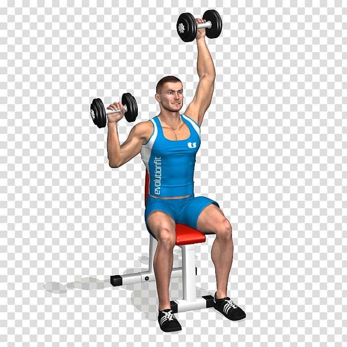Weight training Shoulder Dumbbell Deltoid muscle Front raise, dumbbell transparent background PNG clipart