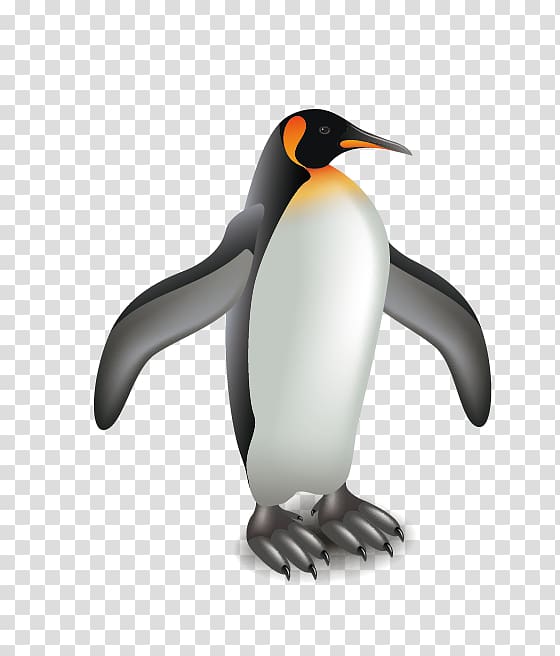 King penguin Illustration, penguin transparent background PNG clipart