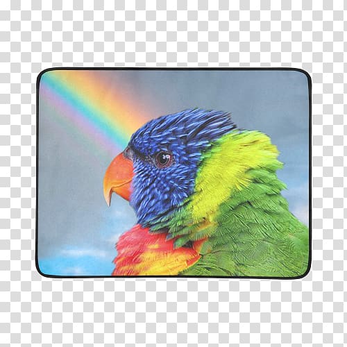 Loriini Budgerigar Cockatiel Macaw Rainbow lorikeet, Lories And Lorikeets transparent background PNG clipart