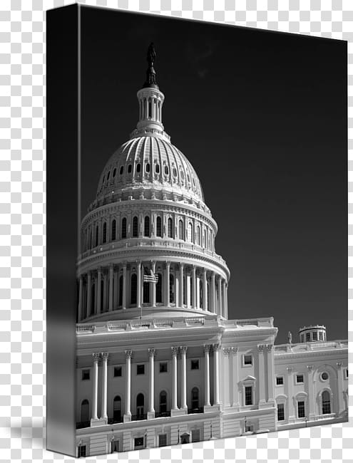Study Guide for Jillson\'s American Government: Political Change and Institutional Development Priority Book 4: Government Classical architecture Facade, capitol building transparent background PNG clipart