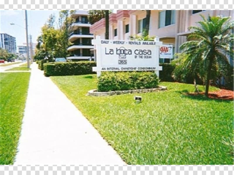 Raton Property Arecaceae Campus Shrub, Boca Raton Resort transparent background PNG clipart