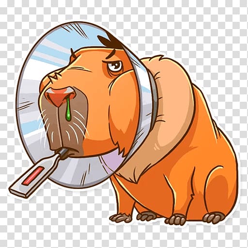 Capybara Telegram Sticker Snout , others transparent background PNG clipart