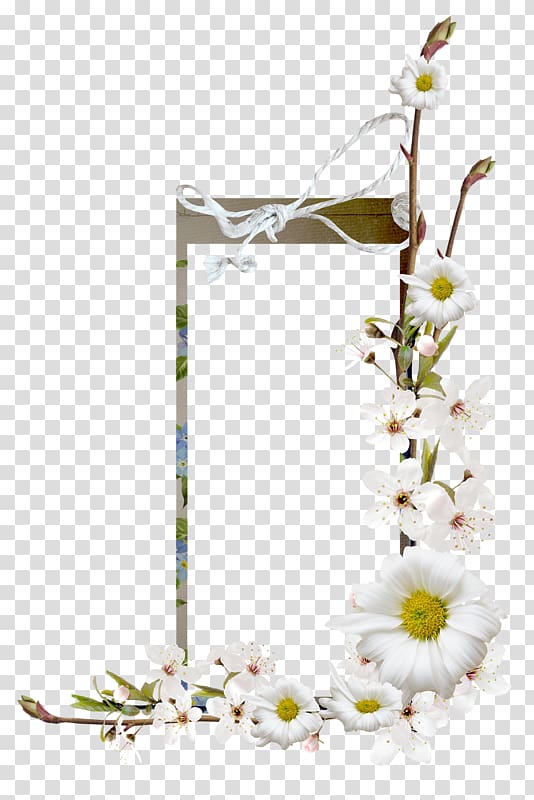 Floral design Flower Adobe shop Portable Network Graphics, Camomile transparent background PNG clipart