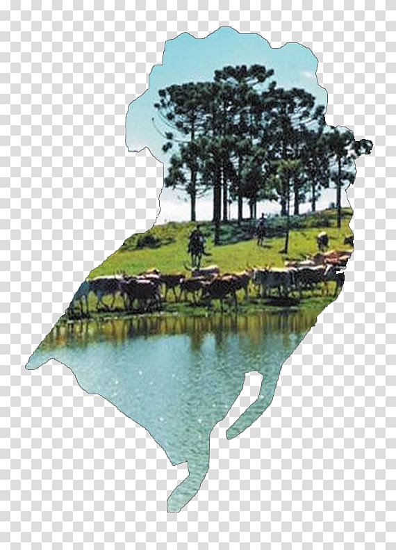 Rural tourism Santa Catarina Turismo na Região Sul do Brasil Tourism in Brazil, Gelas transparent background PNG clipart