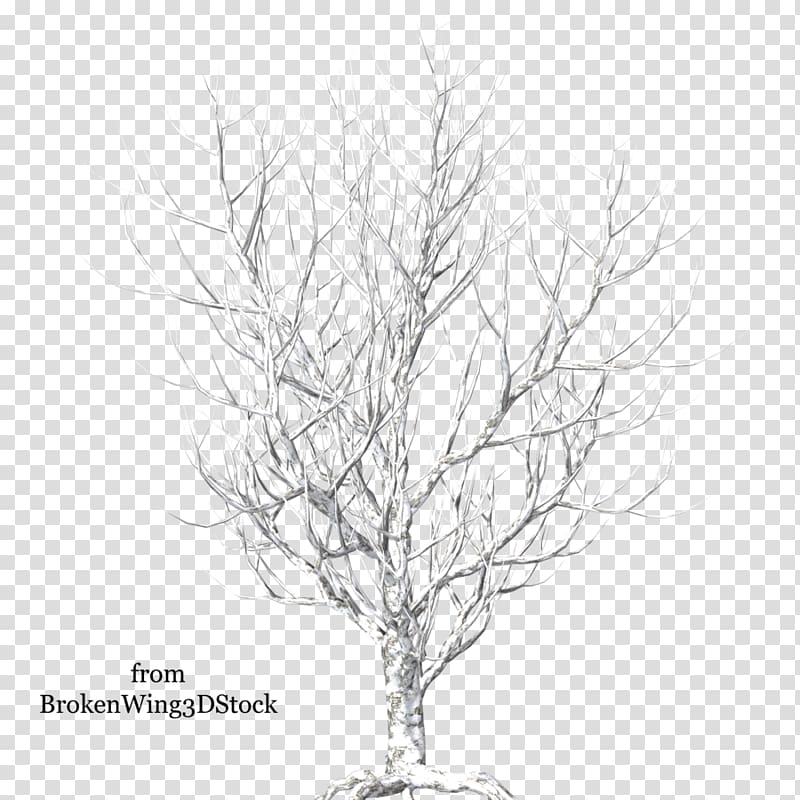 Tree Branch Winter Snow, snow tree transparent background PNG clipart