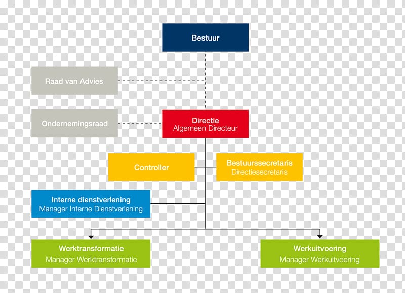 Organizational chart Organizational structure Afacere Board of directors, school model transparent background PNG clipart