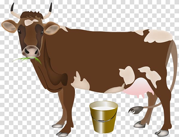 Holstein Friesian cattle Calf Milk Dairy cattle Farm, milk transparent background PNG clipart