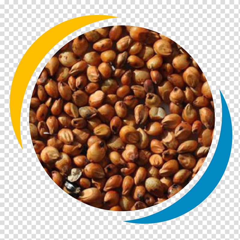 Proso millet Cereal Sorghum Grauds Seed, others transparent background PNG clipart