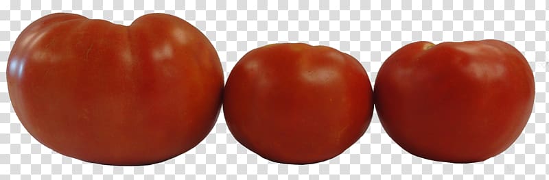 Roma tomato Plum tomato Determinate cultivar Vegetable Variety, tomato transparent background PNG clipart