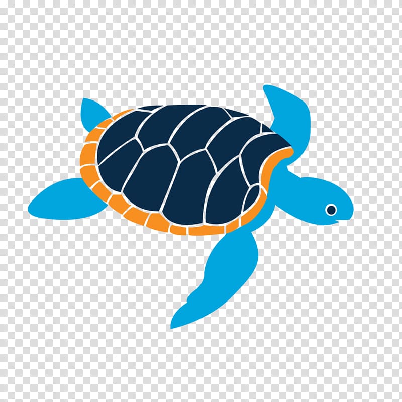 Island School Gift card Student Loggerhead sea turtle, gift transparent background PNG clipart