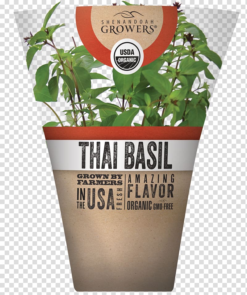 Herb Thai cuisine Thai basil Organic food, Thai Basil transparent background PNG clipart