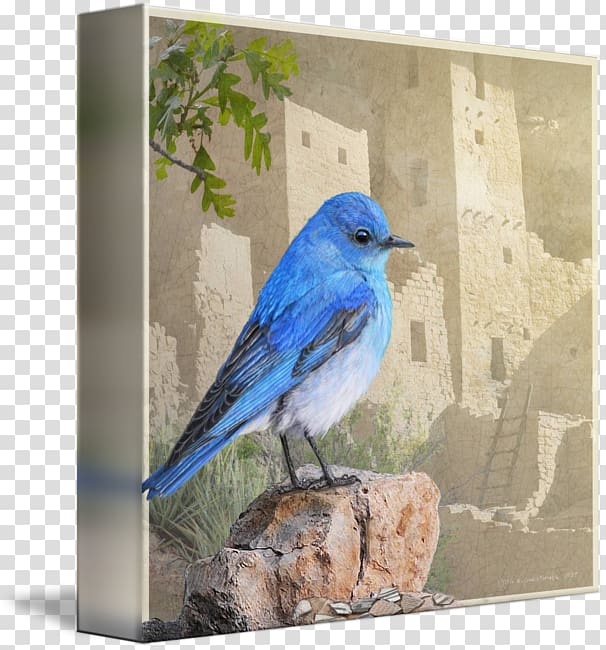 Blue jay Cobalt blue Feather Beak, feather transparent background PNG clipart