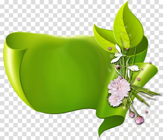fresh green ribbons transparent background PNG clipart