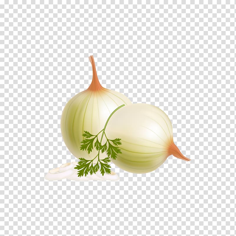 Vegetable Euclidean Fruit , Quasiphysical vegetables transparent background PNG clipart