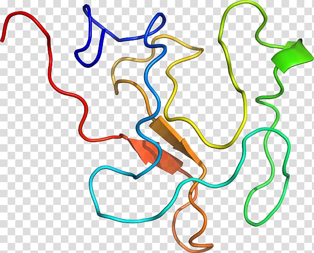 Line Point Organism , line transparent background PNG clipart