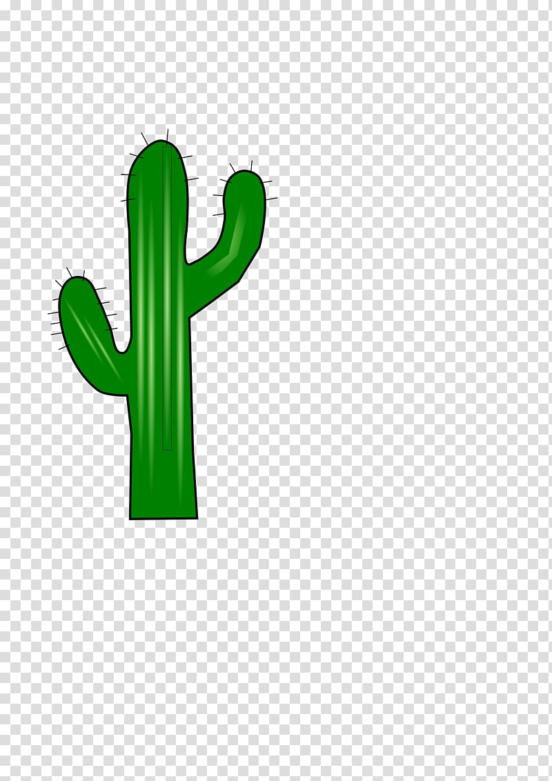 Cactaceae , cactus transparent background PNG clipart