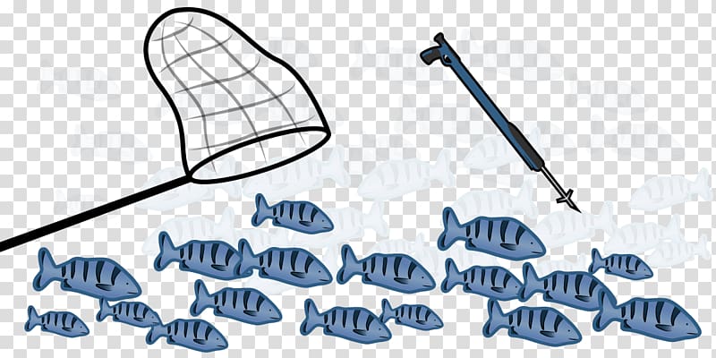 Opinion poll Margin of error , go fishing transparent background PNG clipart