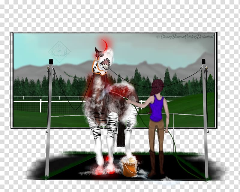 Stallion Recreation Jockey International, Watercolor blur transparent background PNG clipart