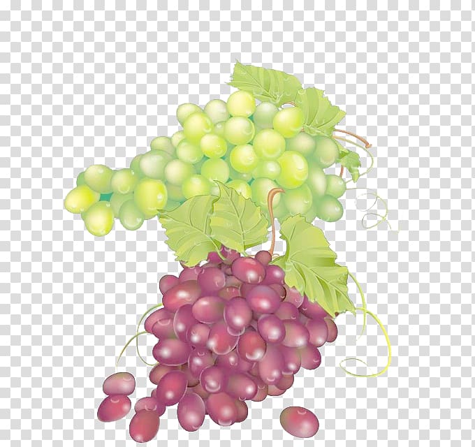 Grape juice Seedless fruit, Red grapes green grapes transparent background PNG clipart