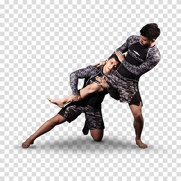 Ultimate Fighting Championship Mixed martial arts Professional wrestling Submission wrestling, Wrestlers transparent background PNG clipart