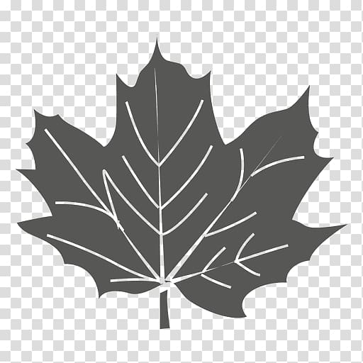 Maple leaf Sycamore maple Green, Leaf transparent background PNG clipart