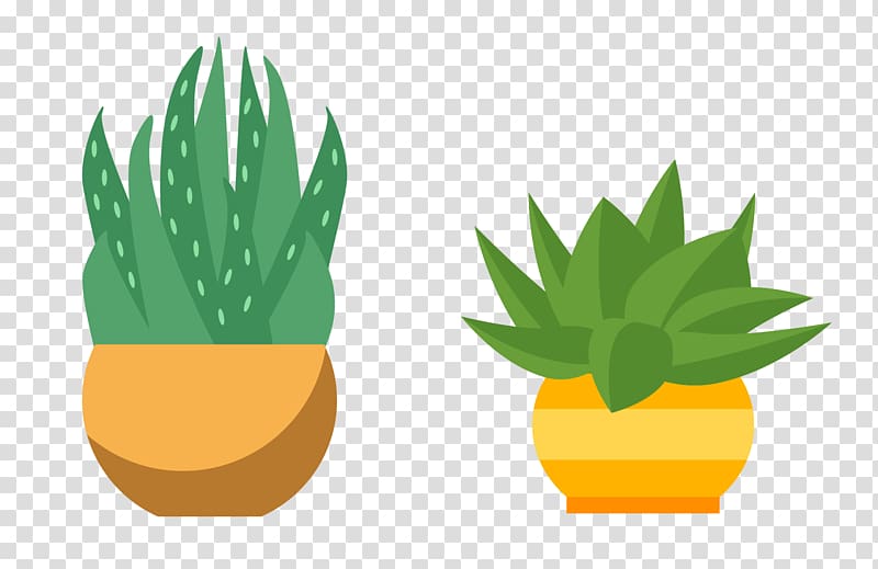 Cactaceae Flowerpot Succulent plant, green aloe vera plant transparent background PNG clipart