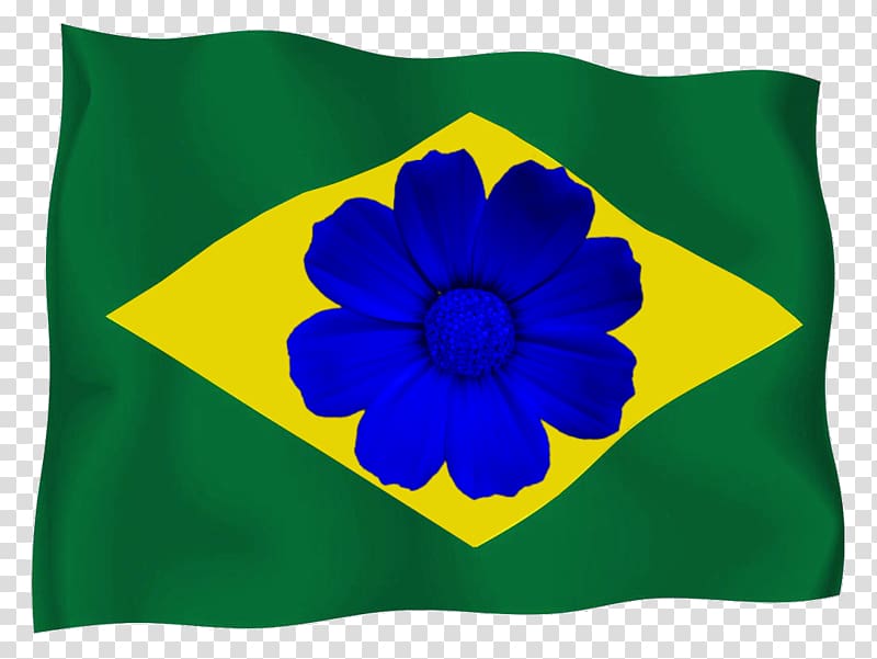 Flag of Brazil Bible, Stylized transparent background PNG clipart