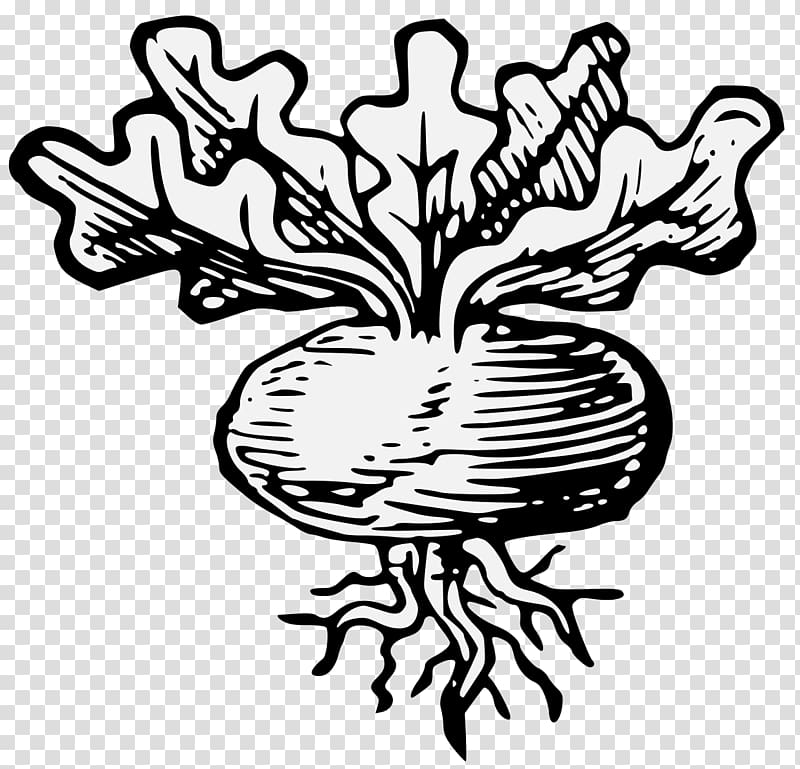 A display of heraldrie Heraldry Root Turnip , others transparent background PNG clipart