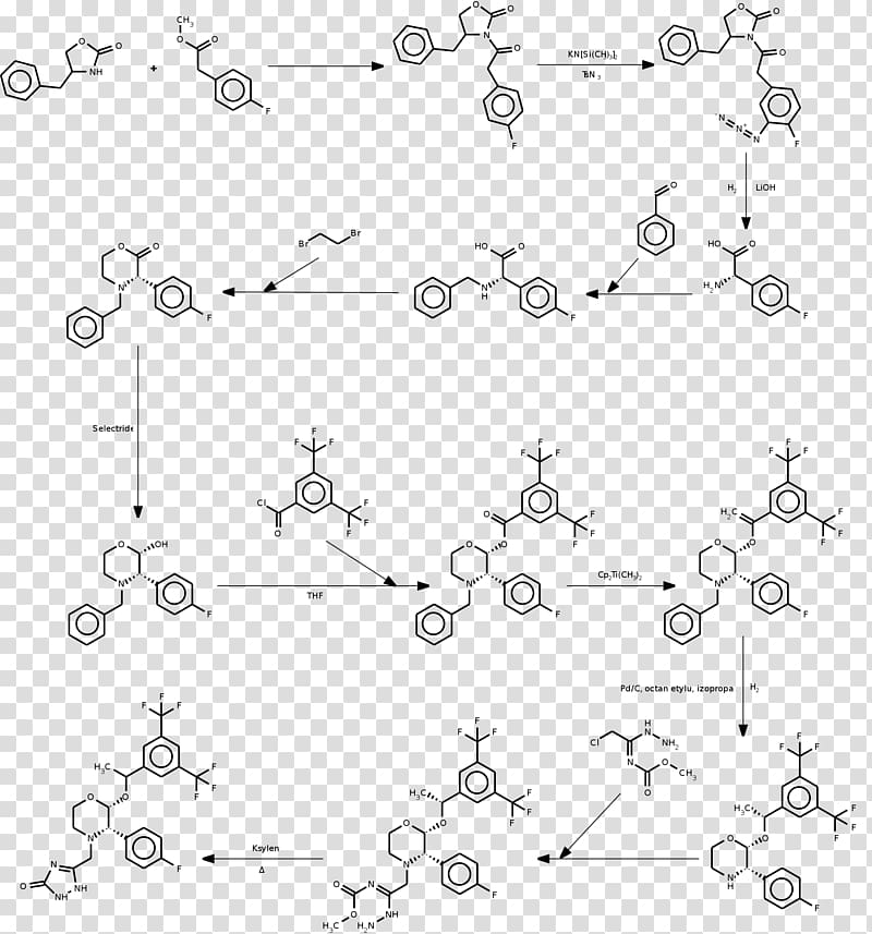 Aprepitant Chemical synthesis CYP3A4 Organic chemistry Sintesis, others transparent background PNG clipart