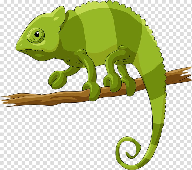 Chameleons Lizard Reptile Illustration, chameleon transparent background PNG clipart