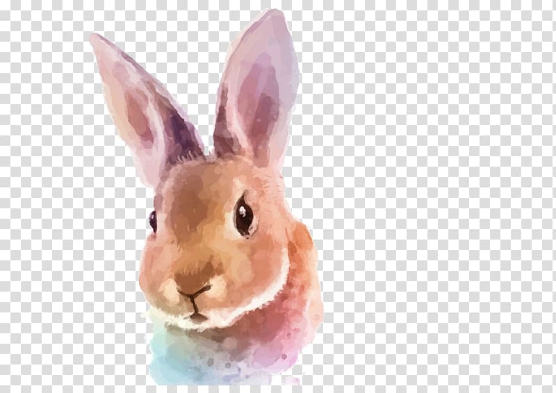 brown rabbit illustration, Watercolor painting Rabbit Illustration, Hand painted rabbit transparent background PNG clipart