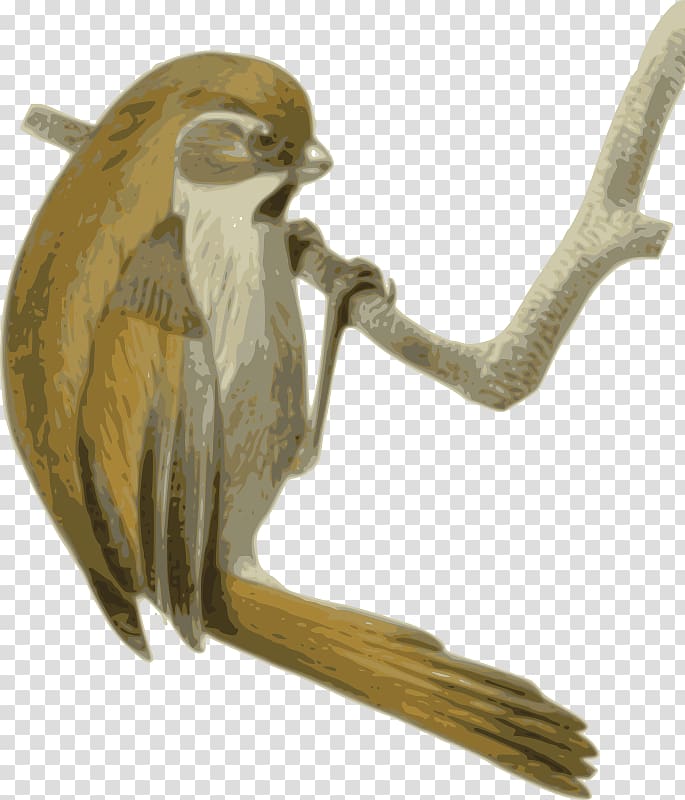 Golden parrotbill Songbird Neognathae , Pipeline transparent background PNG clipart